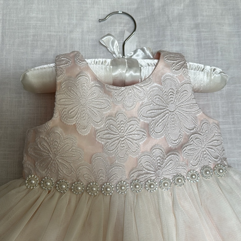 American Princess 12M - Picture 2 of 7